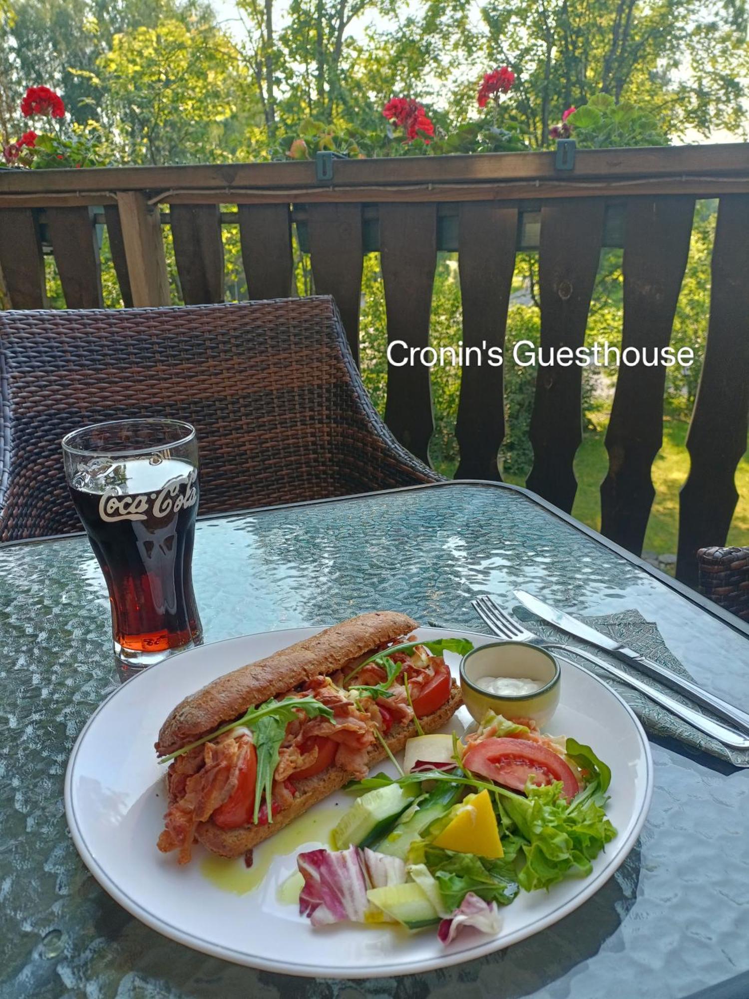 Cronin'S Guesthouse Bed & Breakfast 黑诺拉 外观 照片